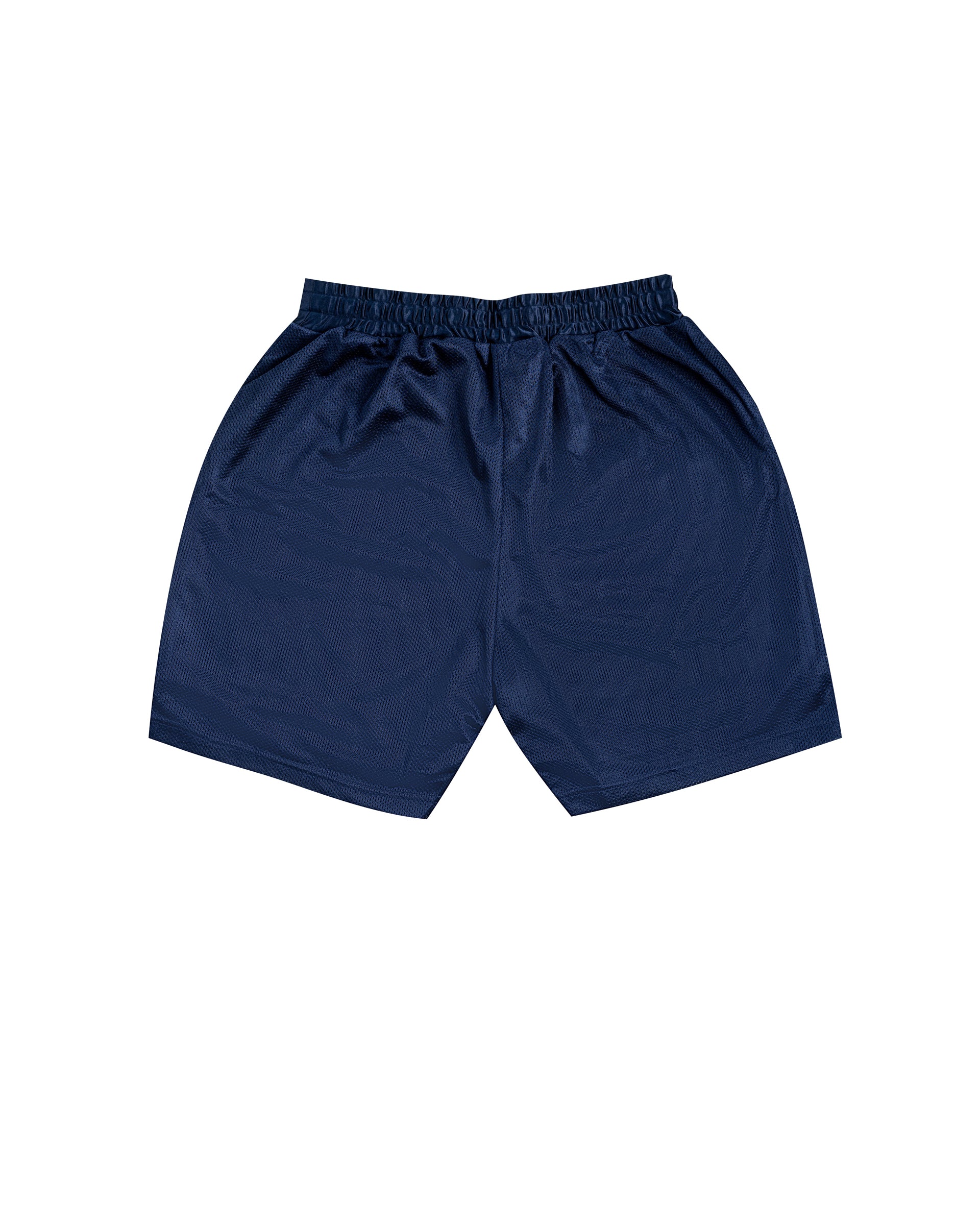 NEUTRALS Sweat Mesh Shorts - Navy