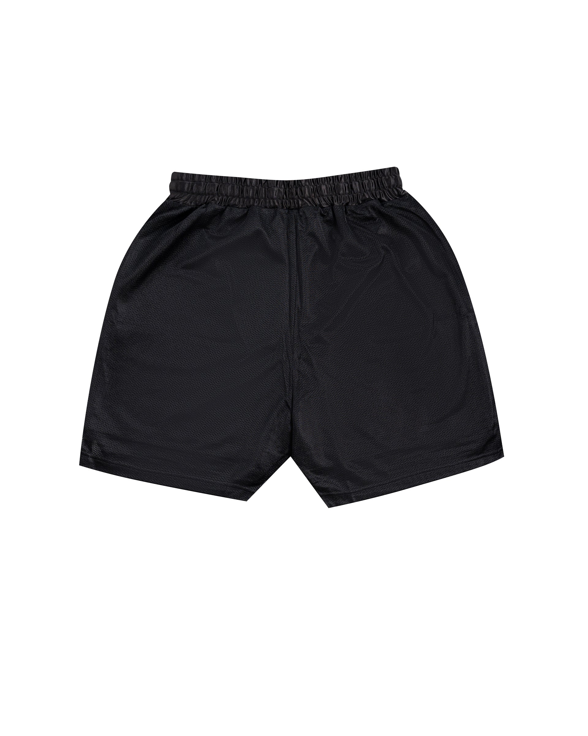 NEUTRALS Sweat Mesh Shorts - Black
